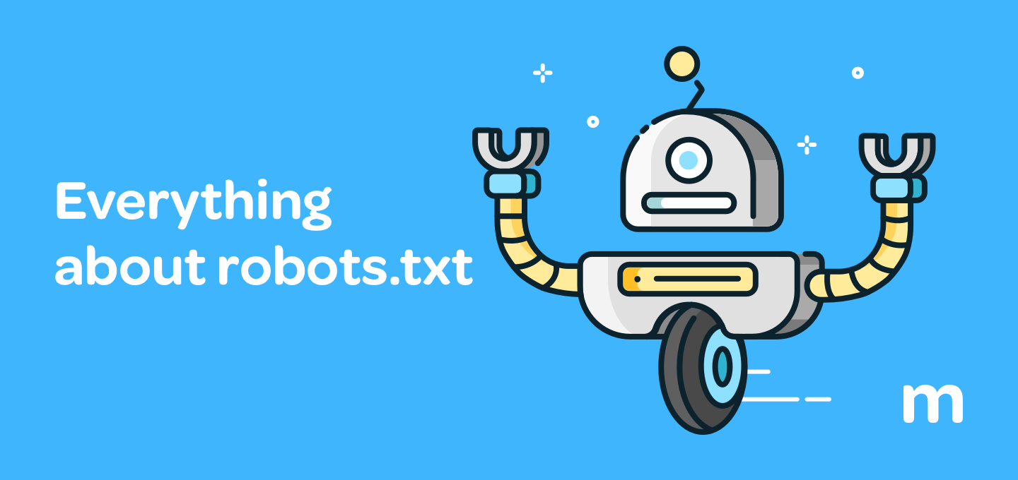 What is the robots.txt file?