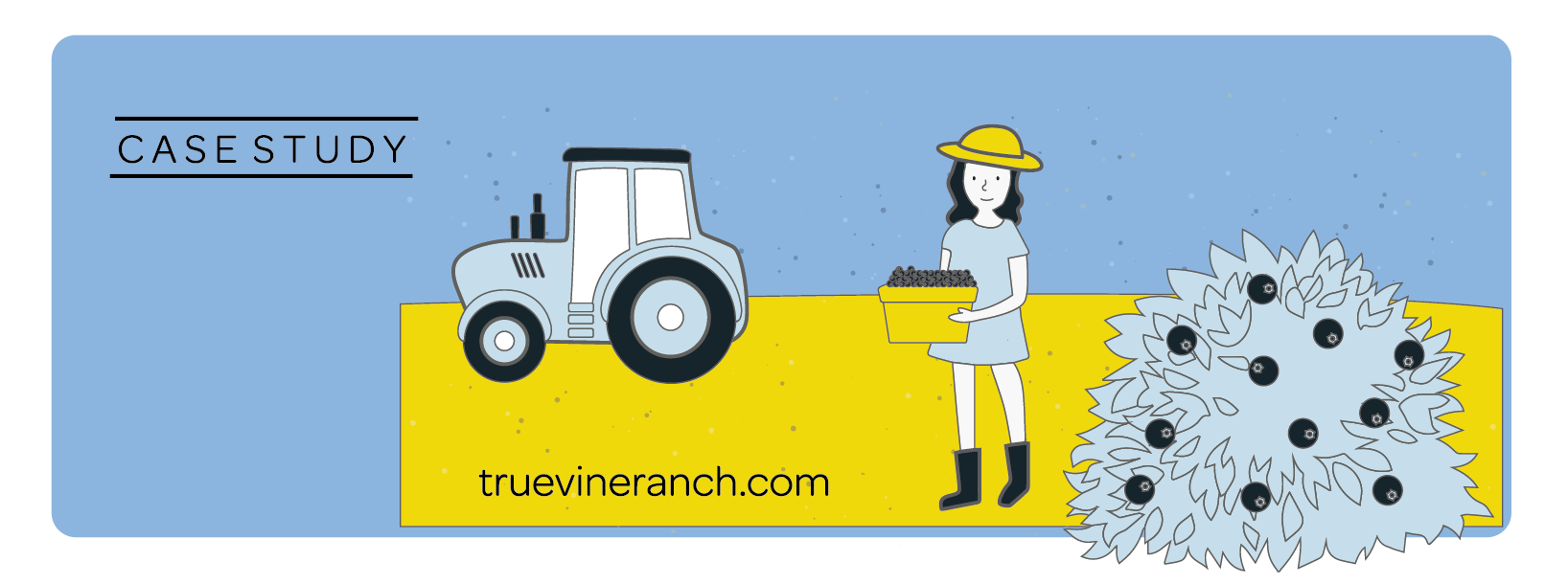 seo for true vine ranch