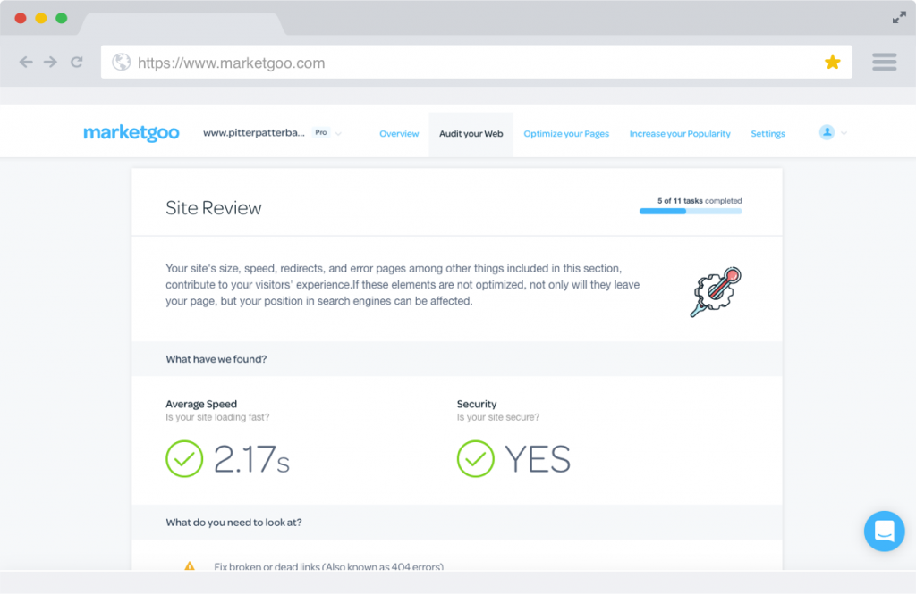 PRO-Audit-Your-Site-Review.1