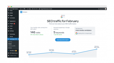 marketgoo-wordpress-analyze-traffic